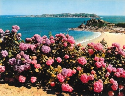 La Bretagne - Perros-Guirrec - Plage De Trestrignel - Carte Yvon Grand Format (15x21), Non Circulée - Perros-Guirec