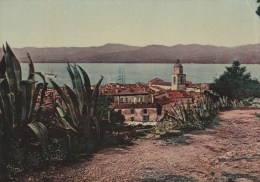 SAINT-TROPEZ (Var) - Vue Générale - Saint-Tropez