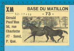 QSL Base Ou Mobile  " Du Matillon " Sorel  P. Quebec  (  XM-52...., CB Radio CPM ) Recto/verso - Autres & Non Classés
