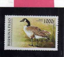 BURKINA FASO 1996 FAUNA FAUNE BIRDS UCCELLI OISEAUX 1000 F Branta Canadensis. BIRD UCCELLO MNH - Burkina Faso (1984-...)