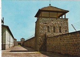 MAUTHAUSEN - AUSTRIA - F/G Colore - LAGER NAZISTA  (230310) - Gefängnis & Insassen