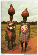 KENYA ..-- AFRIQUE ..-- Femmes Indigènes Portant Du Lait Au Marché . - Kenya