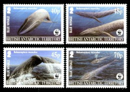 TERRITORIO ANTARTICO BRITANNICO (BAT) 2003** - Balene - WWF  - 4 Val. MNH (set Completo) Come Da Scansione - Ballenas