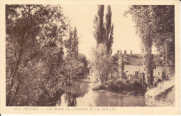 CPA PESMES 70 UN BRAS DE L OGNON ET LE MOULIN - Pesmes