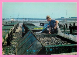 CPM    PORT GIRAUD EN LA PLAINE SUR MER  Parc A Moules - La-Plaine-sur-Mer