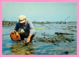 CPM    PORT GIRAUD EN LA PLAINE SUR MER  Pecherie - La-Plaine-sur-Mer