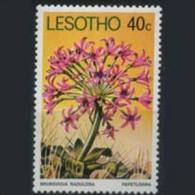 LESOTHO 1978 - Scott# 253 Flower 40c MNH (XI901) - Lesotho (1966-...)