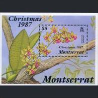 MONTSERRAT 1987 - Scott# 662 S/S Orchids MNH (XJ110) - Montserrat