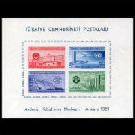 TURKEY 1951 - Scott# 1054a S/S Econimic MNH (XQ542) - Ungebraucht