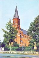 Blaasveld  St. Amanduskerk - Willebrök