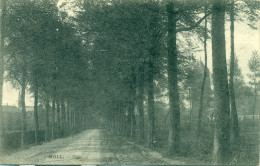 Delcampe - Moll - Dijk - Mol