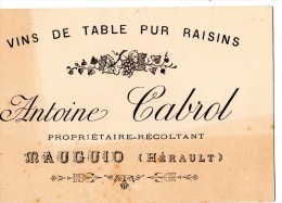 MAUGUIO CARTE COMMERCIAL VINS DE TABLE PUR RAISINS PROPRIETAIRE RECOLTANT ANTOINE CABROL - Mauguio