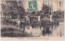 Brangues - Ruines Du Vieux Pont Et Pont De Champiaud - Brangues