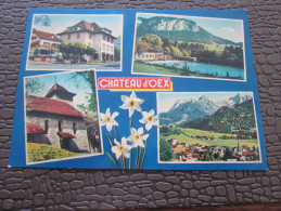 CPM > Château-d'Œx Suisse Canton De Vaud VD - Château-d'Œx