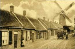 ZEVENBERGEN (N.Br.) - Molen/moulin - Retrokaart Sepiabruin Van De Stenen Stellingmolen. Uitgave T.g.v. De Restauratie. - Zevenbergen