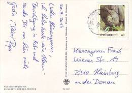 781b: Briefmarke Panzernashorn Auf Postkarte Gest. 31.07.2014 PA 2020 Hollabrunn - Rhinoceros