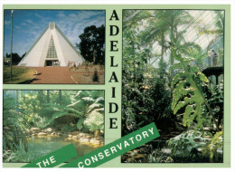 (PH 3147) Australia - SA - Adelaide Conservatory - Adelaide