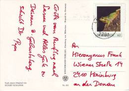 781h: Briefmarke Grüner Laubfrosch Auf Postkarte Gest. 15.7.2014 PA 2291 Lassee - Rane