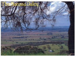 (PH 3147) Australia - SA - Barossa Valley - Barossa Valley