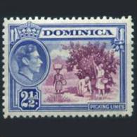 DOMINICA 1938 - SG# 103A Picking Limes WMK 2.5p LH (XR818) - Dominica (1978-...)
