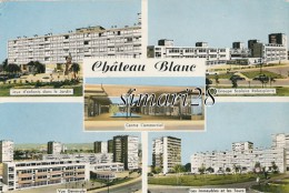 SAINT-ETIENNE-DU-ROUVRAY - CHATEAU BLANC (CPM) - Saint Etienne Du Rouvray