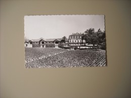 GIRONDE CHATEAU PONTET CANET A PAUILLAC - Pauillac