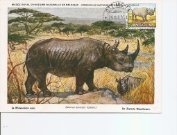 Rhinocéros ( CM D'Angola De 1954 à Voir) - Rhinoceros