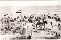 Zandvoort - Zee En Strand : Terras, Badhokjes, Ned. Vlag., Politie Ter Paard  -   Noord-Holland / Nederland - Zandvoort