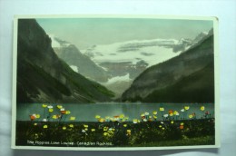 The Poppies , Lake Louise, Canadian Rockies - Lac Louise