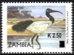 Zambia - 2014 K2.50 Ibis Overprint (**) - Storchenvögel