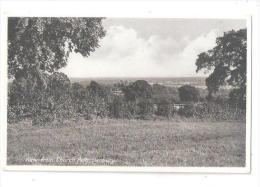 DANBURY VIEW FROM CHURCH PATH DANBURY UNUSED POSTCARD Essex  Nr CHELMSFORD - Autres & Non Classés