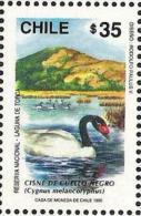 Chile 1990 Aus Fauna-Bogen; Mi-Nr.1334 ** Schwarzhalsschwan (Cygnus Melancoryphus) RAR EINZELN !! - Swans