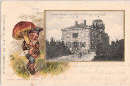 Prägedruck Fichtelberg Haus Erzgebirge Zwerg Gnom Wichtel Pilz Mushroom Embossed Gaufrage 19.6.1903 Gelaufen - Oberwiesenthal
