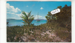 CPM - 26559-Iles Vierges - Ste Croix - Arrivée Du " Wanderlust"Envoi Gratuit - Isole Vergini Americane