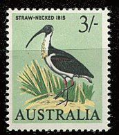 Australie ** N° 298 - Série Courante. Oiseau : Ibis - Nuovi