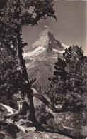CPSM Zermatt Und Matterhorn - Matt