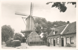 Sluis, Molen    (glansfotokaart) - Sluis