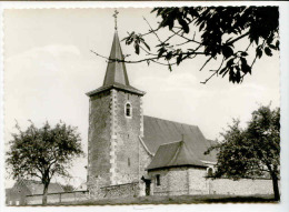 E3770  - FOURON - SAINT - PIERRE  -  église 16e Siècle - Fourons - Vören