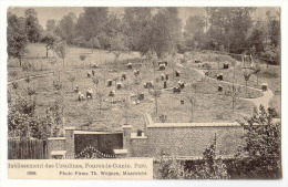 E3479  -  FOURON - LE -COMTE  -  Etablissements Des Ursulines  -  Parc  *1908* - Fourons - Voeren