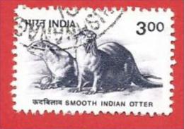 INDIA - USATO - 2000 - Animali - Smooth Indian Otter - 3 Rupee - Michel IN 1771 - Gebruikt