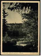 Schierke Oberharz  -  Blick Auf Die Kirche  -  Ansichtskarte Ca.1930   (3551) - Schierke
