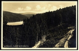 Oberharz  -  Partie Im Spiegeltal  -  Ansichtskarte  Ca.1928     (3576) - Braunlage