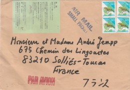 JAPON COVER FROM FRANCE DOUANE 1995                            Tda1 - Covers & Documents