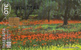 Telefonkarte Griechenland  Chip OTE   Nr.125   1995  Ø132  Aufl.  800.000 St. Geb. Kartennummer   725416 - Griechenland