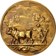 Belgique, Medal, Business & Industry, 1931, SUP, Bronze - Otros & Sin Clasificación