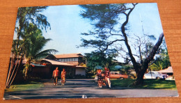 1959 Chevrolet Cars Voitures Maui Palms Resort Hotel Hawaii HI Postcard - Sonstige & Ohne Zuordnung