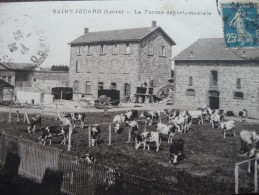 CPA Saint Jodard La Ferme Départementale. - Autres & Non Classés