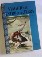 Lib323 Viaggio Al Centro Della Terra, Verne, Edizione Malipiero Bologna, 1955, Galleria Grandi Romanzi - Teenagers & Kids