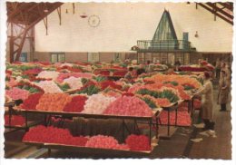 REF 193 : CPSM Pays Bas Holland Nederland Aalmeer Holland Flower Centre Of Europe - Aalsmeer