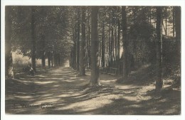 Delcampe - Westerloo - De Grot - 1923 - Westerlo